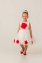 Girl's Special Occasion Dress Fluffy Tulle Birthday Wedding Evening Dress