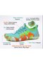 Barefoot Sea & Pool Shoes Non-Slip Rubber Sole - 2