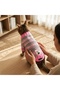 Pink Sweater with Teddy Bear and Stripes for Cat and Dog - 3