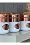 Inoxia Stainless Steel 3-Piece Storage Box Tea, Sugar, Coffee White Rose 10X15 cm - 2