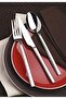 Vizyon Dessert Spoon Set of 6 with Original Box