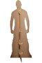SC4408 The Miz WWE Cardboard Cut Out Height 189cm - 4