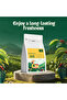 Robusta Coffee – Yellow Process (Single Origin, Whole Beans) 250g | Medium Roast, Bold & Full-Bodied, Freshly Roasted in Dubai - 4