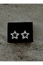 Steel Inoxidable Gold Silver Earrings |   Gift Boxed - 3