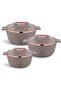 Fancy Deluxe Insulated Casserole Set - 2