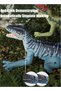 (cl363)Remote Control Dinosaur Realistic Dinosaur Toys with Light & Roar 2.4GHZ Dinosaur Toys for Kids 3+ 3D Eyes Walking Dinosaur Toy for Christmas (Velociraptor) - 5