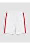 Özmarka New Season Men's Shorts with Stripe Detail - 2