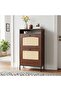 Renna Shoe Cabinet With USB Port & 3 Pin Plug Socket, 18 Pairs, 2 Doors, L60xW24xH104cm - Brown/Black