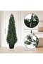 Boxwood Topiary Decorative Tree - Stylish, Practical, High Quality, Affordable - 2