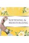 Divine Body Wash 750 ML - Vitamin E, Antibacterial, Skin-Softening, Moisturizing - 4