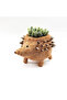 Hedgehog Planter