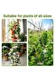 FFD 2pcs Natural Bamboo Plant Stakes - Durable Garden Support Poles for Climbing Plants - 6