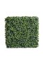 Jasper Assembling Hedge 75x25x75cm - Green - 3