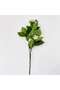 Snowflower Artificial Flower Stem 20.32x20.32x99.06cm- Green - 3