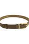 3 cm Bitter Brown Women's Belt with Satin Gold Buckle, Curved Body and Elegant Design, Suitable for Trousers, Jeans, Dresses, and Jackets. - 5