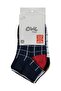 Checkered 5-Pack 2-12 Years Old Boys' Booties Socks - 2