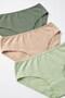 Women's 3-Piece Cotton Panties, Normal Waist, Flexible and Comfortable (4227-3) - 3