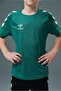 Line Training T-Shirt Green Kids - 3