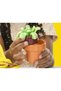 Play-Doh Blooming Garden Set - 4
