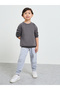 Toddler Unisex Raglan Sleeve Cotton Regular Fit Sweatshirt - 2