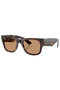 Rb0840S 902 53 51 Unisex Sunglasses
