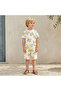 Knee Length Elasticated Drawstring Waist Shorts with Crab Print - 2