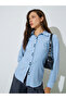 Blue Striped Long Sleeves Double Button Shirt