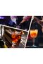 SET SUPPORT SHAKER BARTENDER SOLID BĂUTURI ACASĂ 17 EL. - 6