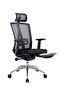 Modern Ergonomic Office Chair with Adjustable Headrest, 3D Armrests & Footrest – High Back Mesh Chair with Tilt Lock and Chrome Base – Ideal for Executives and Managers