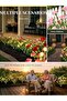 4-Pack Outdoor Solar Carnation Flower Lights, Waterproof Garden Stake Lights (Multicolor) - 2