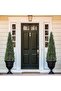 1/2pcs PE Anti-UV Artificial Cypress Tree - Fashionable, Simple, Comfortable, Practical, and Anti-UV - 4