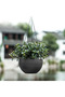 Two hanging planters with drainage holes and rust-resistant chains, suitable for indoor/outdoor ceiling, balcony, and wall decoration - black. - 4