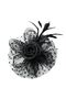 Two beaded polka dot printed metal clip headbands with mesh flower and feather embellishments - Black - 2