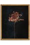 Vintage Moody Floral Botanical Canvas Wall Art Decor With Outer Frame (30x40 cm)
