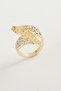 Nhr-Hlss at (180805) Stone Ring-Yellow