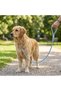 Ergonomic Mesh Type Wick Leash for Cat and Dog (10/12mm - 120cm) - 3