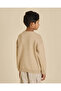 Boys Beige Round Neck Pullover - 3