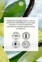 Concentrated Shower Gel Exotic Bourbon Vanilla 100 ml - Dosage Adjustable Travel Size Ecological Bath Gel - 6
