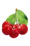 Cherry tail tea 20 sachets - 5
