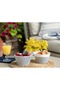 Adenya Sepeti Miller 2-Piece Bowl Set - Blue/White - 10 cm