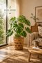 Hand Knitted Diamond Cut Wicker Flower Pot Large Living Room Plant Basket 30X28 cm - 3