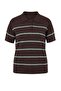 Wardrobe Essentials Kahverengi Çizgili Polo Yaka Yazlık İnce Triko Bluz TBBSS26AF00187 - 5