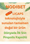 Nodibet Kapsül - 2