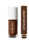 Lip Gloss |   Moisturizing Colorful Lip Gloss Coffee |   Lip Gloss Coffee 3 in 1 - No 301