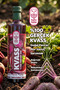 KVASS Pancar Özü