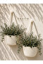 Basket 2-Piece Decorative Mini Basket Flower Organizer 10X12 cm Plants and Vine Supports Not Included