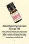 Pink Lotus Essential Oil 5 ml - 2