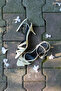 Heels 2624 - Light Yellow Women's Heels with Thin Cross Strap Detail