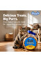 Cat Biscuit Jar 110g - 2