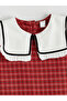 Timeless Clothing & Timeless Choices Bebe Roba Collared Checkered Embroidered Girls' Dress - 3